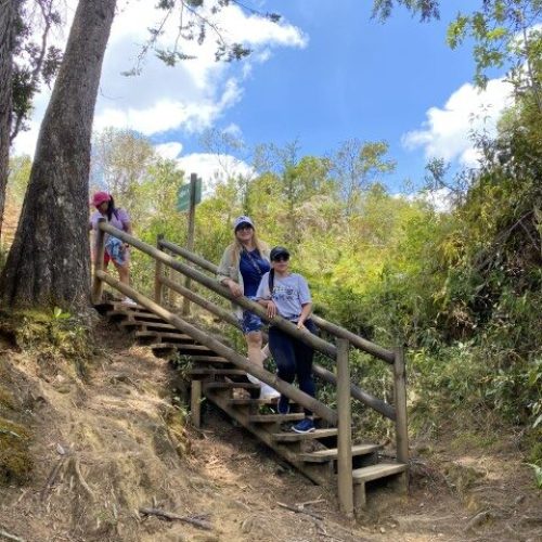 ME_VOY_PARA-MEDELLIN_5773